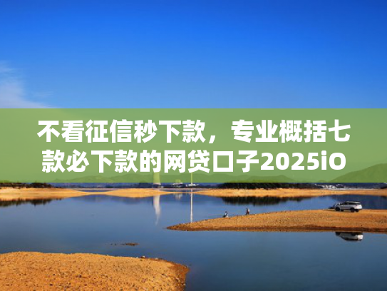 不看征信秒下款，专业概括七款必下款的网贷口子2025iOS