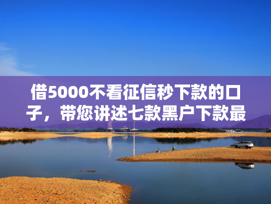 借5000不看征信秒下款的口子，带您讲述七款黑户下款最快的网贷6