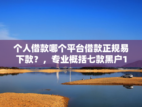 个人借款哪个平台借款正规易下款？，专业概括七款黑户100%下款网贷