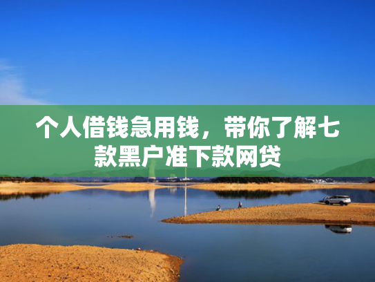 个人借钱急用钱，带你了解七款黑户准下款网贷