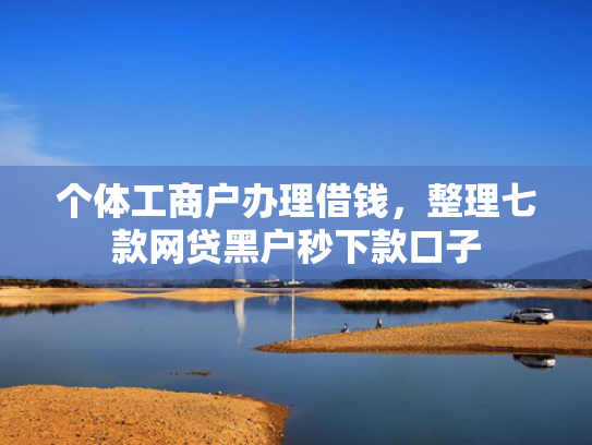 个体工商户办理借钱，整理七款网贷黑户秒下款口子