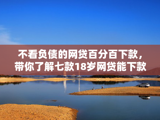 不看负债的网贷百分百下款，带你了解七款18岁网贷能下款的口子2025