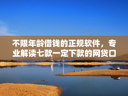 不限年龄借钱的正规软件，专业解读七款一定下款的网贷口子苹果