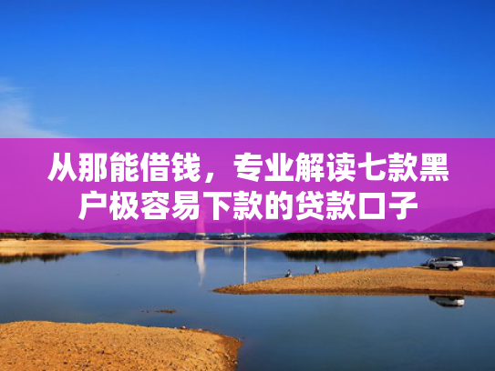 从那能借钱，专业解读七款黑户极容易下款的贷款口子