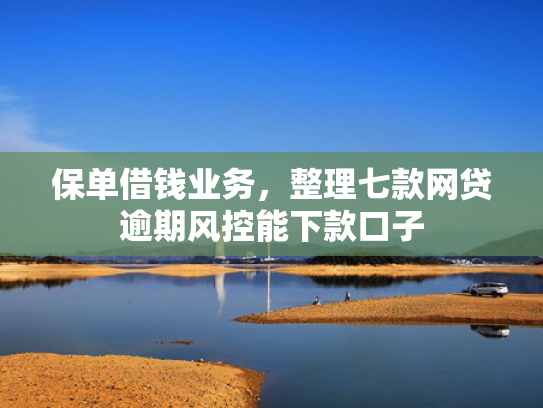 保单借钱业务，整理七款网贷逾期风控能下款口子
