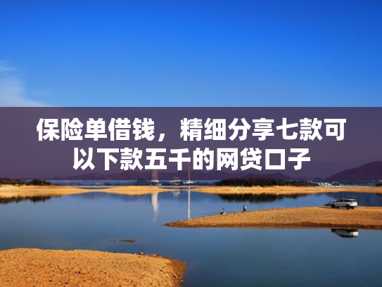 保险单借钱，精细分享七款可以下款五千的网贷口子