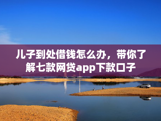 儿子到处借钱怎么办，带你了解七款网贷app下款口子