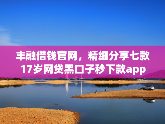 丰融借钱官网，精细分享七款17岁网贷黑口子秒下款app