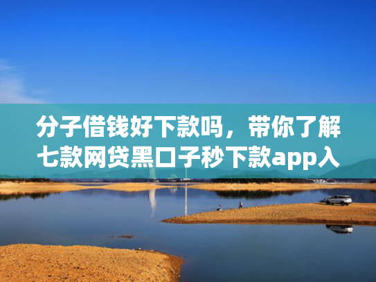 分子借钱好下款吗，带你了解七款网贷黑口子秒下款app入口