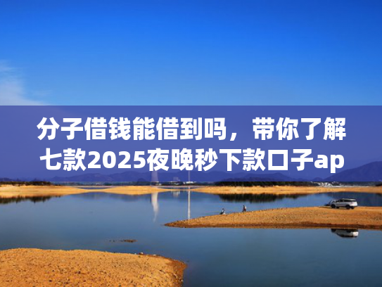 分子借钱能借到吗，带你了解七款2025夜晚秒下款口子app