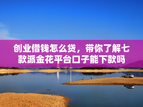 创业借钱怎么贷，带你了解七款派金花平台口子能下款吗
