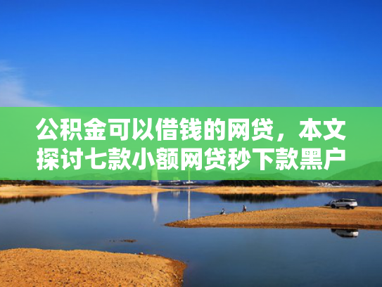 公积金可以借钱的网贷，本文探讨七款小额网贷秒下款黑户