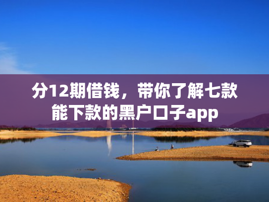 分12期借钱，带你了解七款能下款的黑户口子app