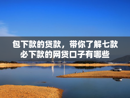包下款的贷款，带你了解七款必下款的网贷口子有哪些