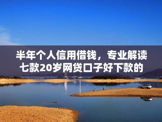 半年个人信用借钱，专业解读七款20岁网贷口子好下款的