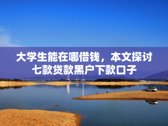 大学生能在哪借钱，本文探讨七款贷款黑户下款口子