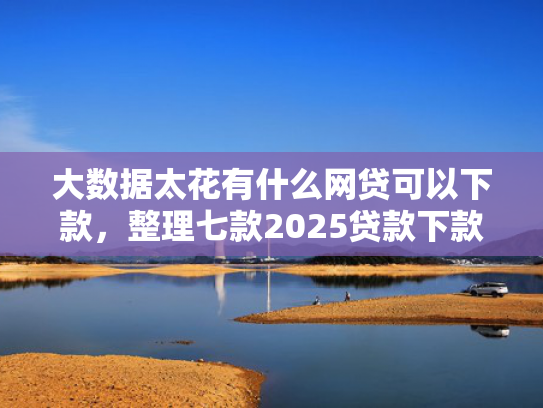 大数据太花有什么网贷可以下款，整理七款2025贷款下款口子