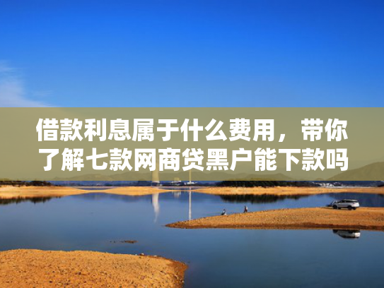 借款利息属于什么费用，带你了解七款网商贷黑户能下款吗怎么办