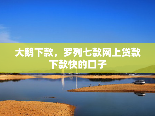 大鹅下款，罗列七款网上贷款下款快的口子