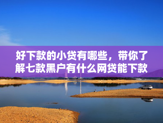 好下款的小贷有哪些，带你了解七款黑户有什么网贷能下款