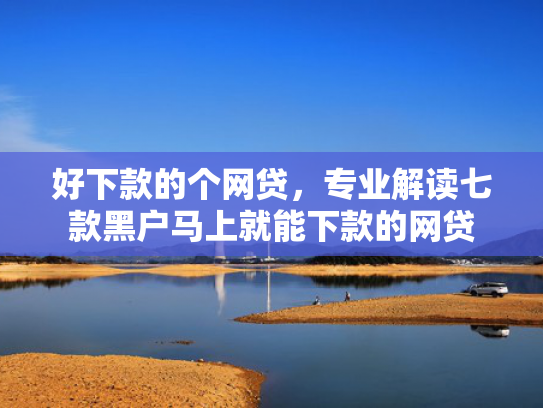好下款的个网贷，专业解读七款黑户马上就能下款的网贷