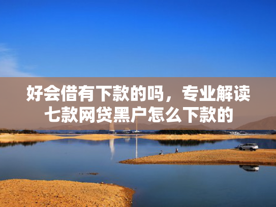 好会借有下款的吗，专业解读七款网贷黑户怎么下款的