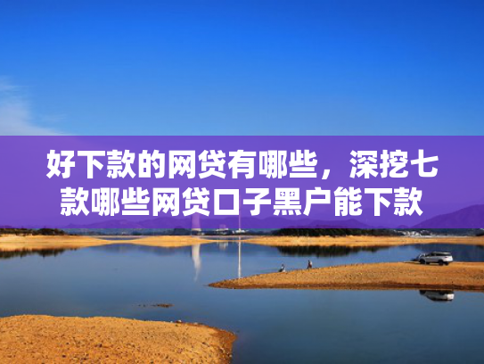 好下款的网贷有哪些，深挖七款哪些网贷口子黑户能下款
