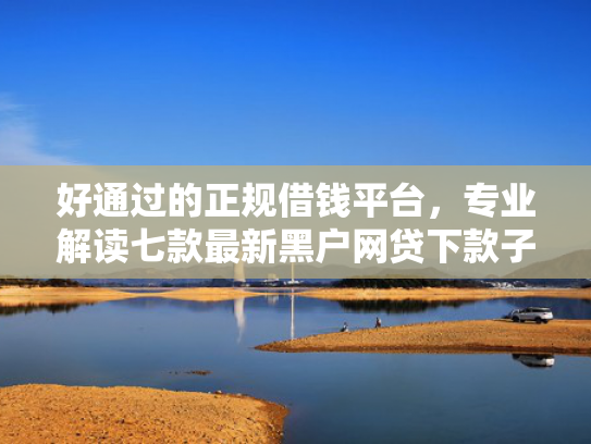好通过的正规借钱平台，专业解读七款最新黑户网贷下款子