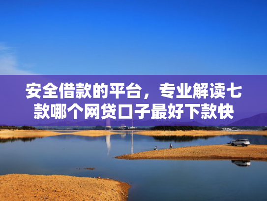 安全借款的平台，专业解读七款哪个网贷口子最好下款快