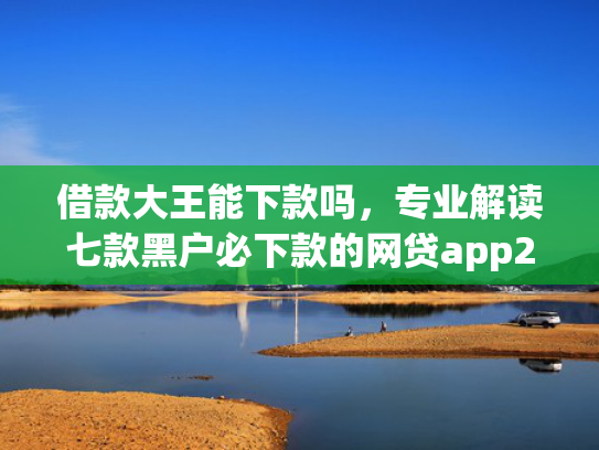 借款大王能下款吗，专业解读七款黑户必下款的网贷app2025