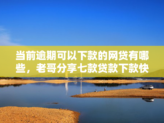 当前逾期可以下款的网贷有哪些，老哥分享七款贷款下款快的口子有哪些