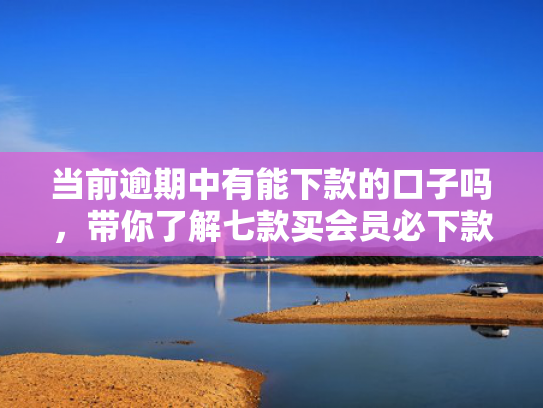 当前逾期中有能下款的口子吗，带你了解七款买会员必下款的贷款口子