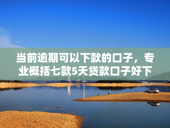 当前逾期可以下款的口子，专业概括七款5天贷款口子好下款的