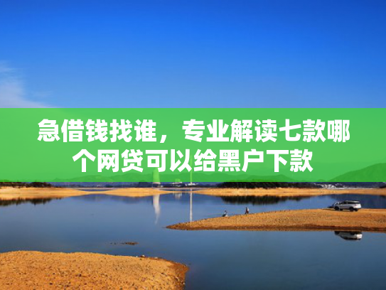 急借钱找谁，专业解读七款哪个网贷可以给黑户下款