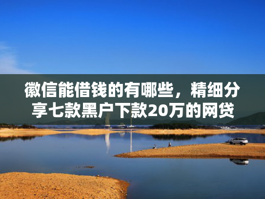 徽信能借钱的有哪些，精细分享七款黑户下款20万的网贷