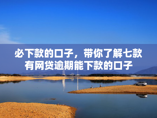 必下款的口子，带你了解七款有网贷逾期能下款的口子