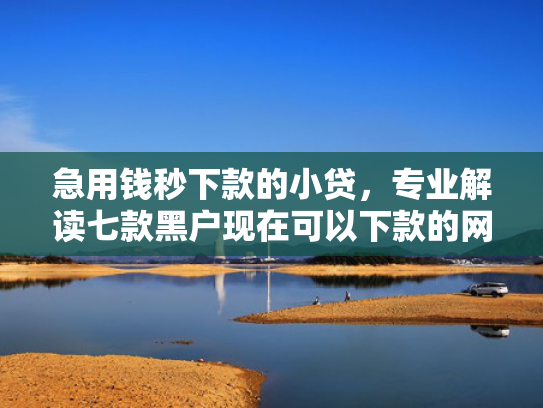急用钱秒下款的小贷，专业解读七款黑户现在可以下款的网贷