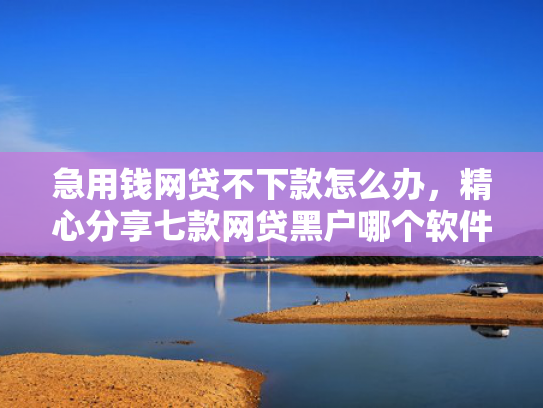 急用钱网贷不下款怎么办，精心分享七款网贷黑户哪个软件能下款