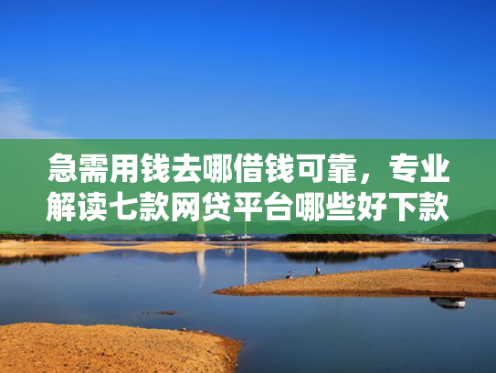 急需用钱去哪借钱可靠，专业解读七款网贷平台哪些好下款黑户的