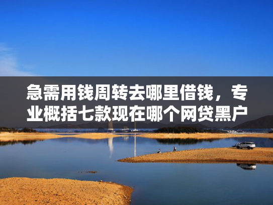 急需用钱周转去哪里借钱，专业概括七款现在哪个网贷黑户能下款