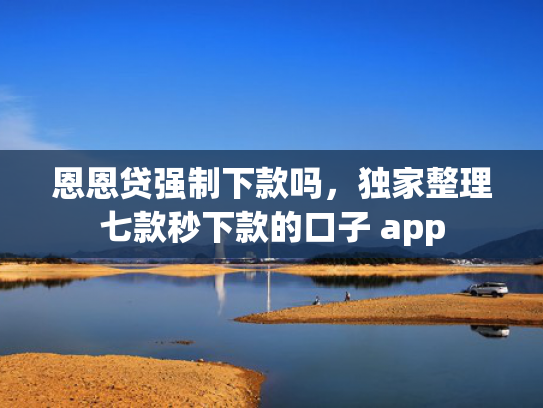 恩恩贷强制下款吗，独家整理七款秒下款的口子 app