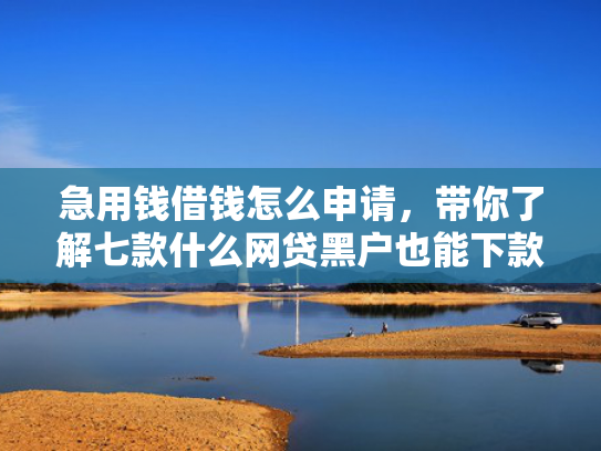 急用钱借钱怎么申请，带你了解七款什么网贷黑户也能下款啊