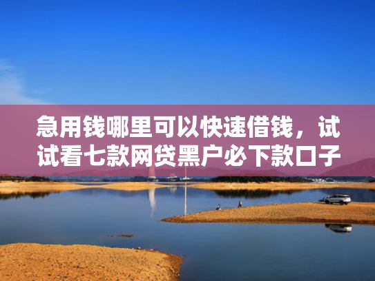急用钱哪里可以快速借钱，试试看七款网贷黑户必下款口子贴吧