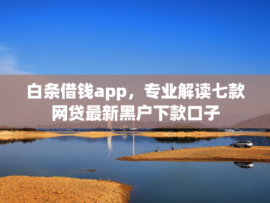 白条借钱app，专业解读七款网贷最新黑户下款口子