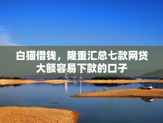 白猫借钱，隆重汇总七款网贷大额容易下款的口子