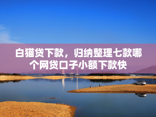 白猫贷下款，归纳整理七款哪个网贷口子小额下款快