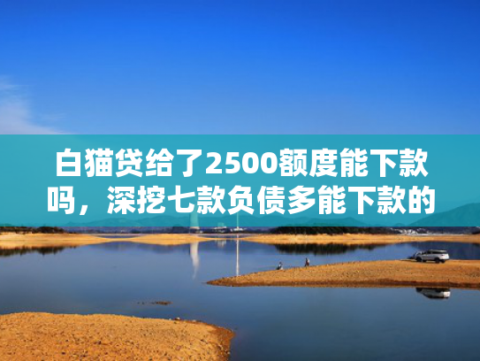白猫贷给了2500额度能下款吗，深挖七款负债多能下款的网贷口子