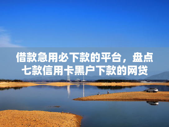借款急用必下款的平台，盘点七款信用卡黑户下款的网贷