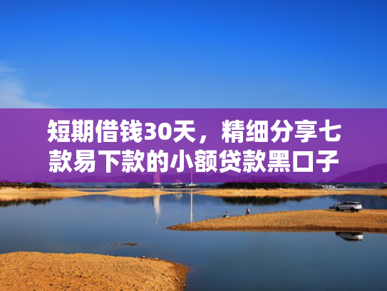 短期借钱30天，精细分享七款易下款的小额贷款黑口子