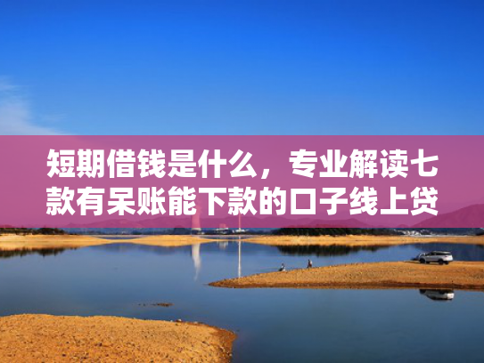 短期借钱是什么，专业解读七款有呆账能下款的口子线上贷款吗